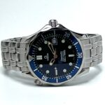Omega Seamaster Professional