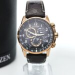 Citizen WR200