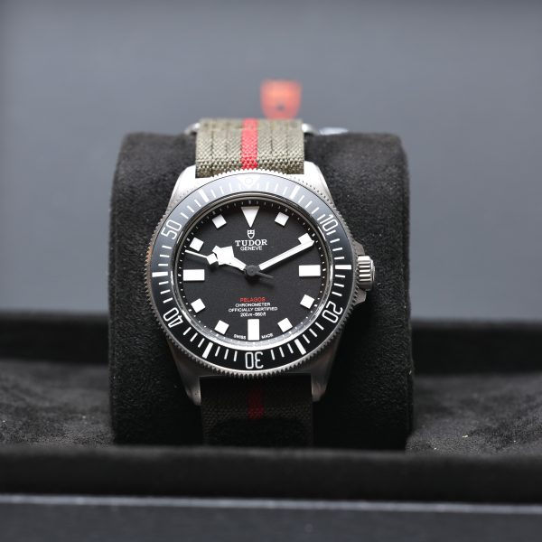 Tudor Pelagos - Bild 3
